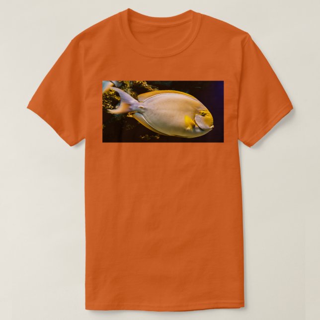 Camiseta Sol (Frente do Design)