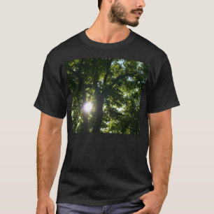 Camiseta Sol brilhando por árvores