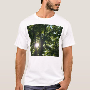 Camiseta Sol brilhando por árvores