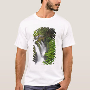 Camiseta Sol Duc Falls no Parque Nacional Olímpico em