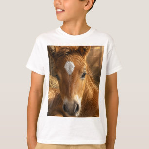 Camiseta Sonolento Puro Potro
