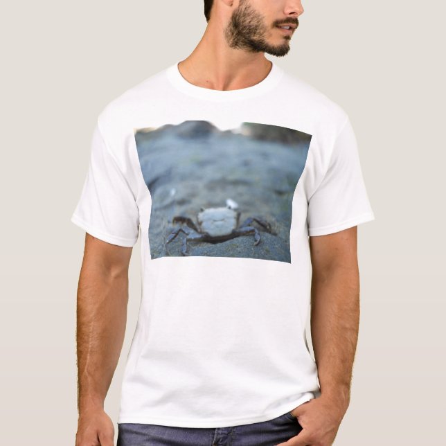 Camiseta Sorriso Crabby (Frente)