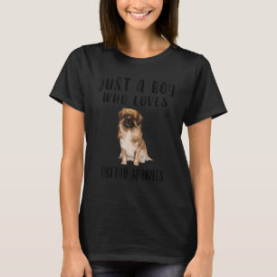 Camiseta Sou Apenas Um Menino Que Ama O Cão Espanhol Tibeta