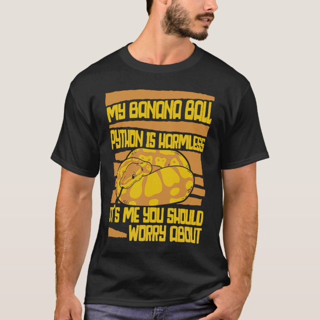 Camiseta Sou eu que você deveria se preocupar com Pythonida (Frente)
