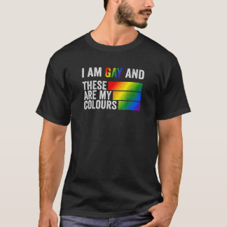 Camiseta Sou Gay E Estas São As Minhas Cores