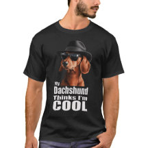Sou Legal Dachshund