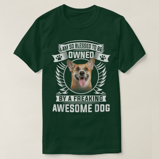Camiseta Sou Tão Abençoado Por Ser Propriedade De Um Incrív (Frente do Design)