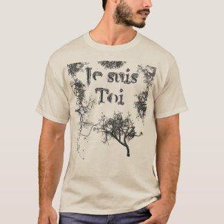 Camiseta Sou você, és mim