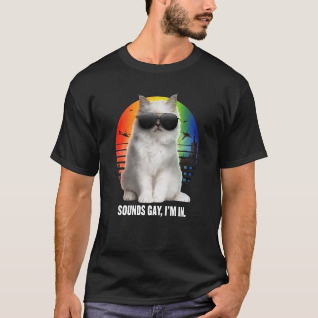 Camiseta Sounds Gay I'm In Rainbow Cat Gay Pride Sunset Ret (Frente)