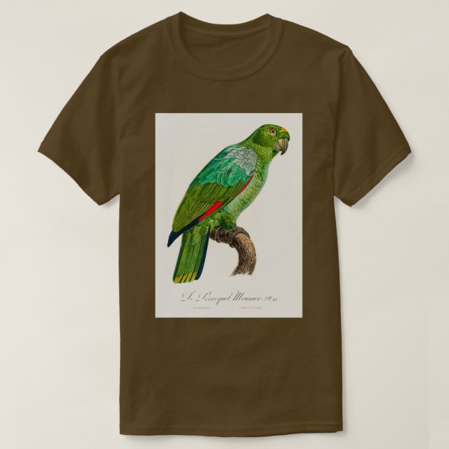 Camiseta Southern Mealy Amazon Amazona farinosa from Na (Frente do Design)