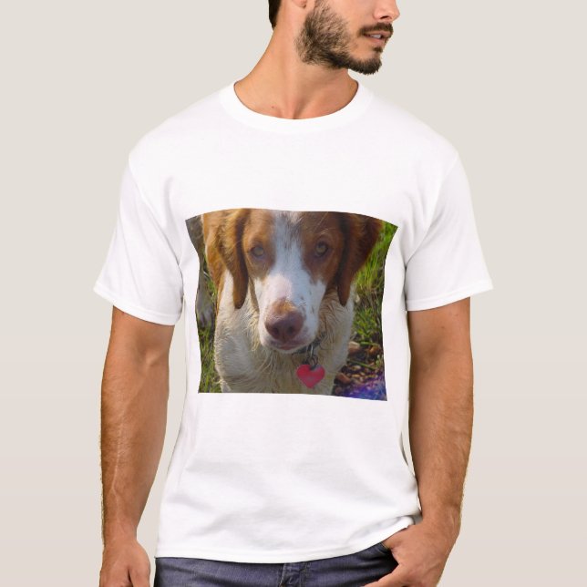 Camiseta Spaniel de Brittany (Frente)