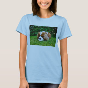 Camiseta Spaniel de rei Charles descuidado Blenheim na