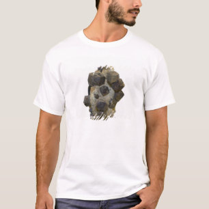 Camiseta Spessartite na matriz