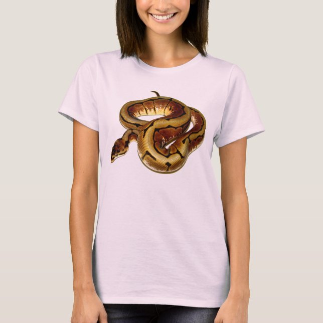 Camiseta Spider Ball Python (Frente)