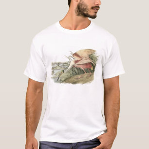 Camiseta Spoonbill róseo por Audubon