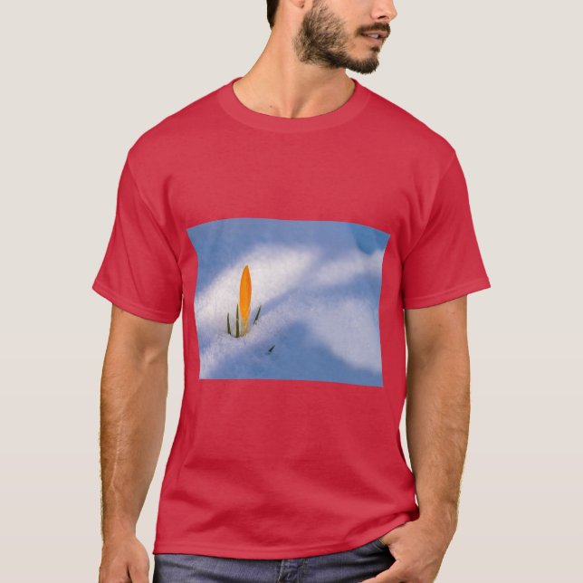 Camiseta Spring Awakening Nature Inspired Graphic (Frente)