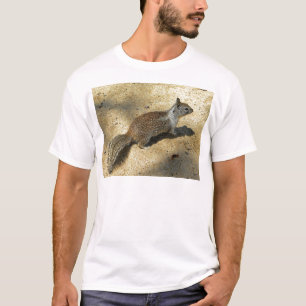 Camiseta Squirrell