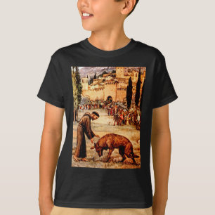 Camiseta St Francis e o lobo