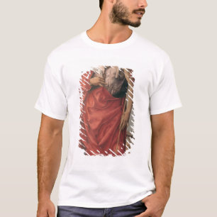 Camiseta St John o baptista 2