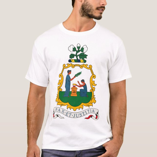 Camiseta St. Vincent e t-shirt da brasão dos Grenadines (Frente)