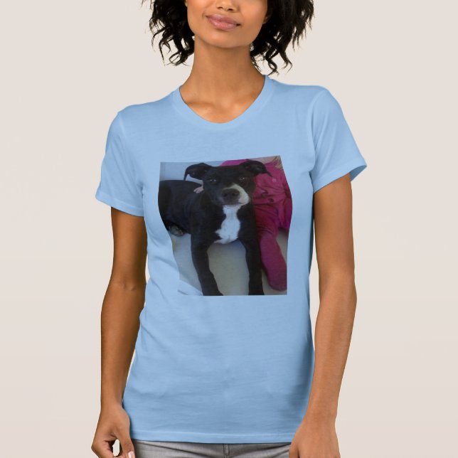 CAMISETA STAFFIES NÃO SÃO PERIGOSOS (Frente)