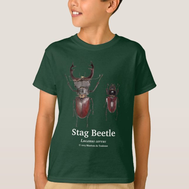 Camiseta Stag Beetle,Lucanus cervus (Frente)