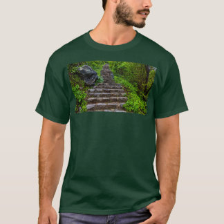 Camiseta Stairs in the jungle