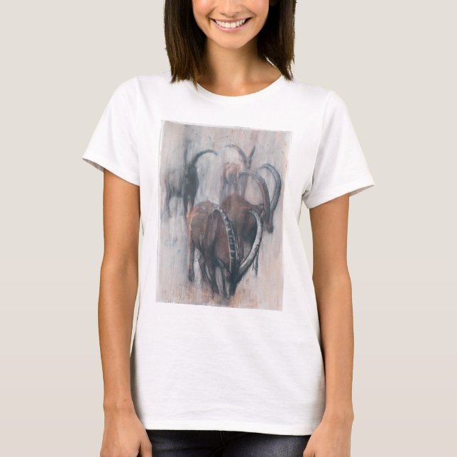 Camiseta Stambecchi na propriedade (Frente)