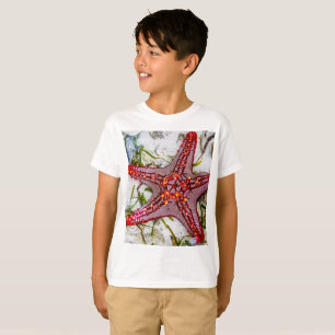 Camiseta Starfish, Zanzibar, Tanzânia