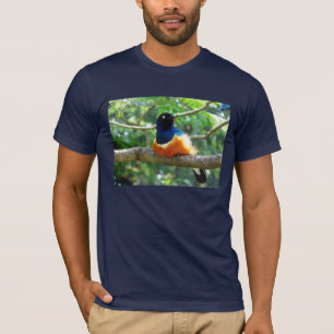 Camiseta Starling magnífico