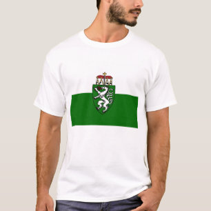 Camiseta Steiermark, Áustria