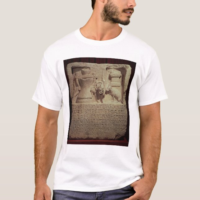Camiseta Stele do moleiro Marcus Careius Asisa (Frente)