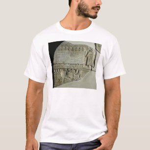 Camiseta Stele dos abutres