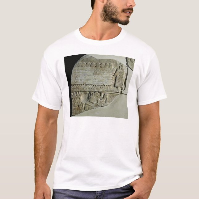 Camiseta Stele dos abutres (Frente)