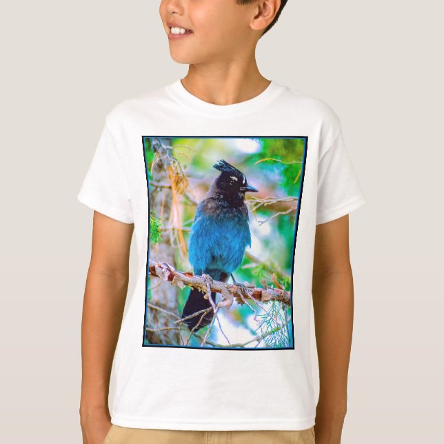 Camiseta Steller's Jay - Fotografia original (Frente)