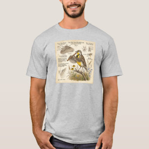 Camiseta Sternovida-ocidental Tocando Flauta – Pássaro Engr