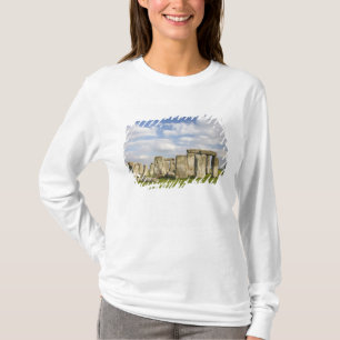 Camiseta Stonehenge (c. 2500 a.C.), Patrimônio Mundial 2