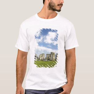 Camiseta Stonehenge (por volta de 2500 a.C.), UNESCO Patrim