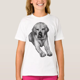 Camiseta Storybook Sentinel
