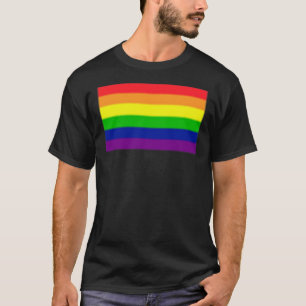 Camiseta Subtle Gay Pride Flag Classic T-Shirt