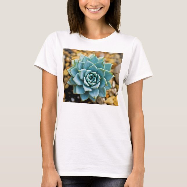Camiseta Suculenta (Frente)