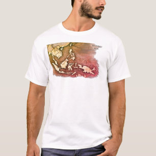 Camiseta Sudeste