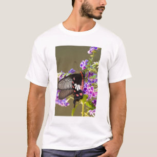 Camiseta Sudeste Asiático, Tailândia, Doi Inthanon, Papilio
