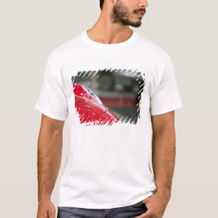 Camiseta SUÍÇA, GENEBRA: 75º Salão Anual do Automóvel de Ge