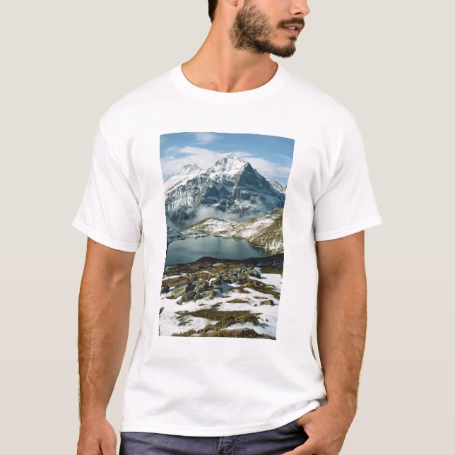 Camiseta Suiça, Grindelwald, Alpes Berneses, Ver (Frente)