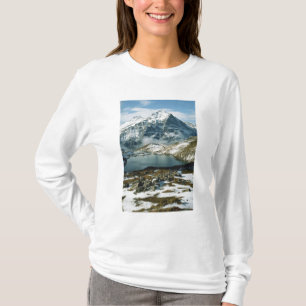 Camiseta Suíça, Grindelwald, Alpes Berneses, Vista
