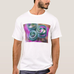 Camiseta Sul Namaqualândia, folhas de lírio enroladas. Créd