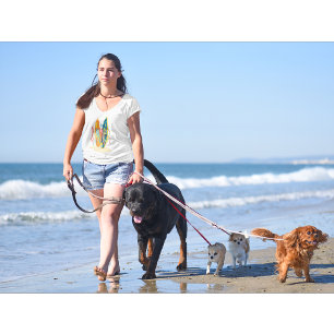 Camiseta Summertime State of Mind Cute