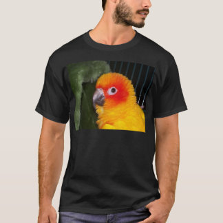 Camiseta Sun Conure