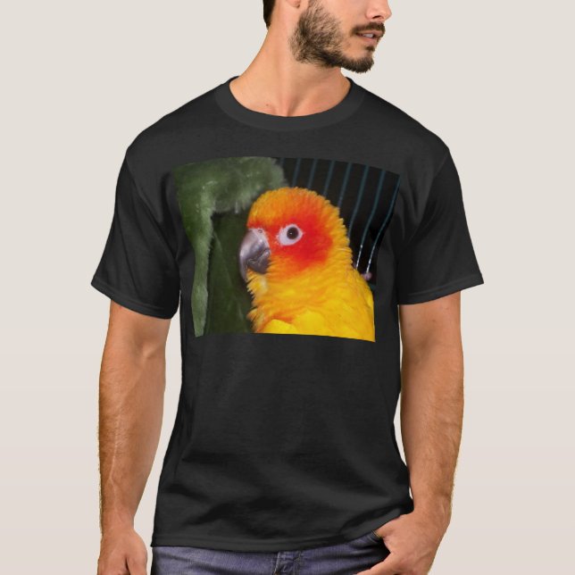 Camiseta Sun Conure (Frente)